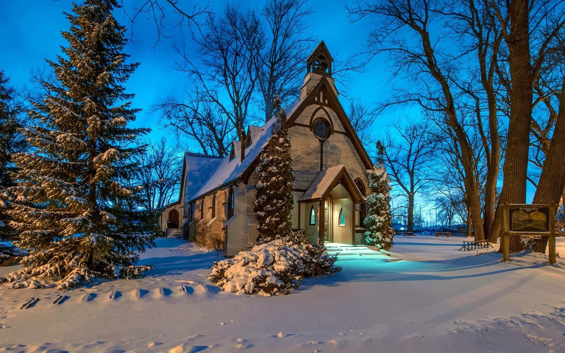 Captivating Winter Wonderland Background