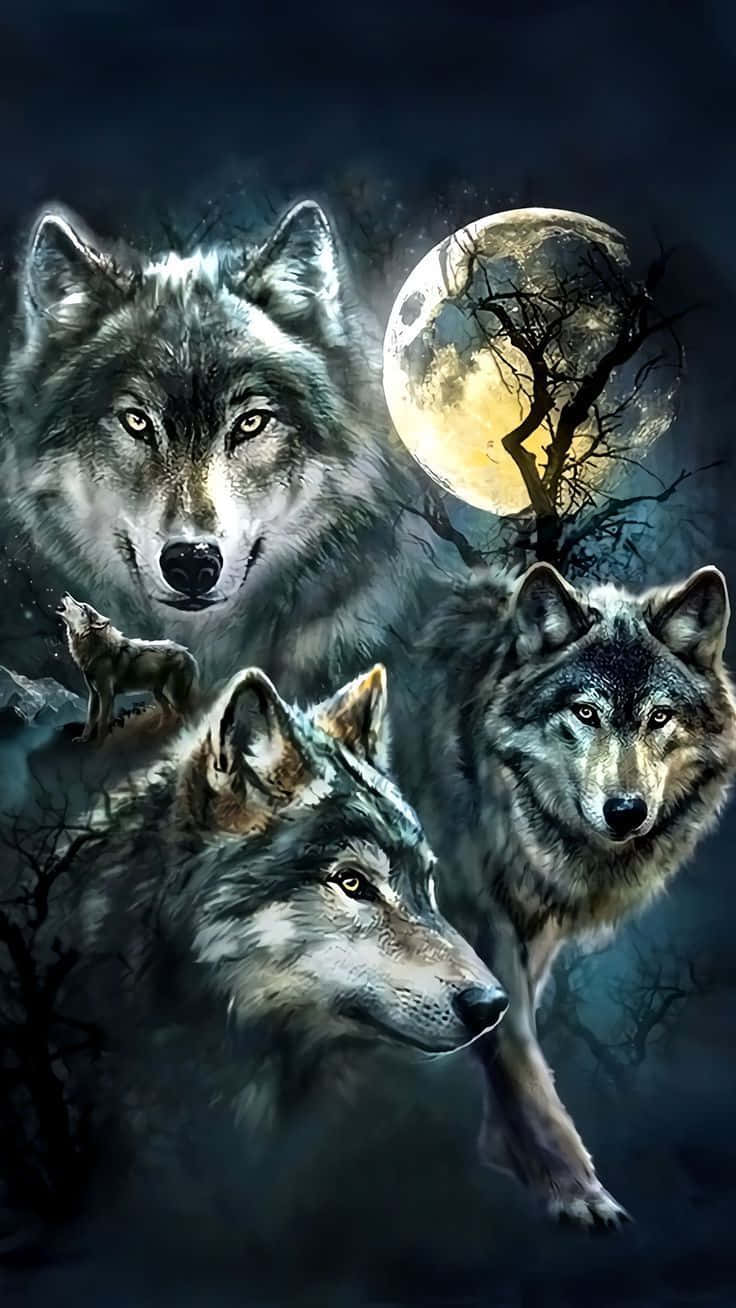 Captivating Wolf Iphone Wallpaper