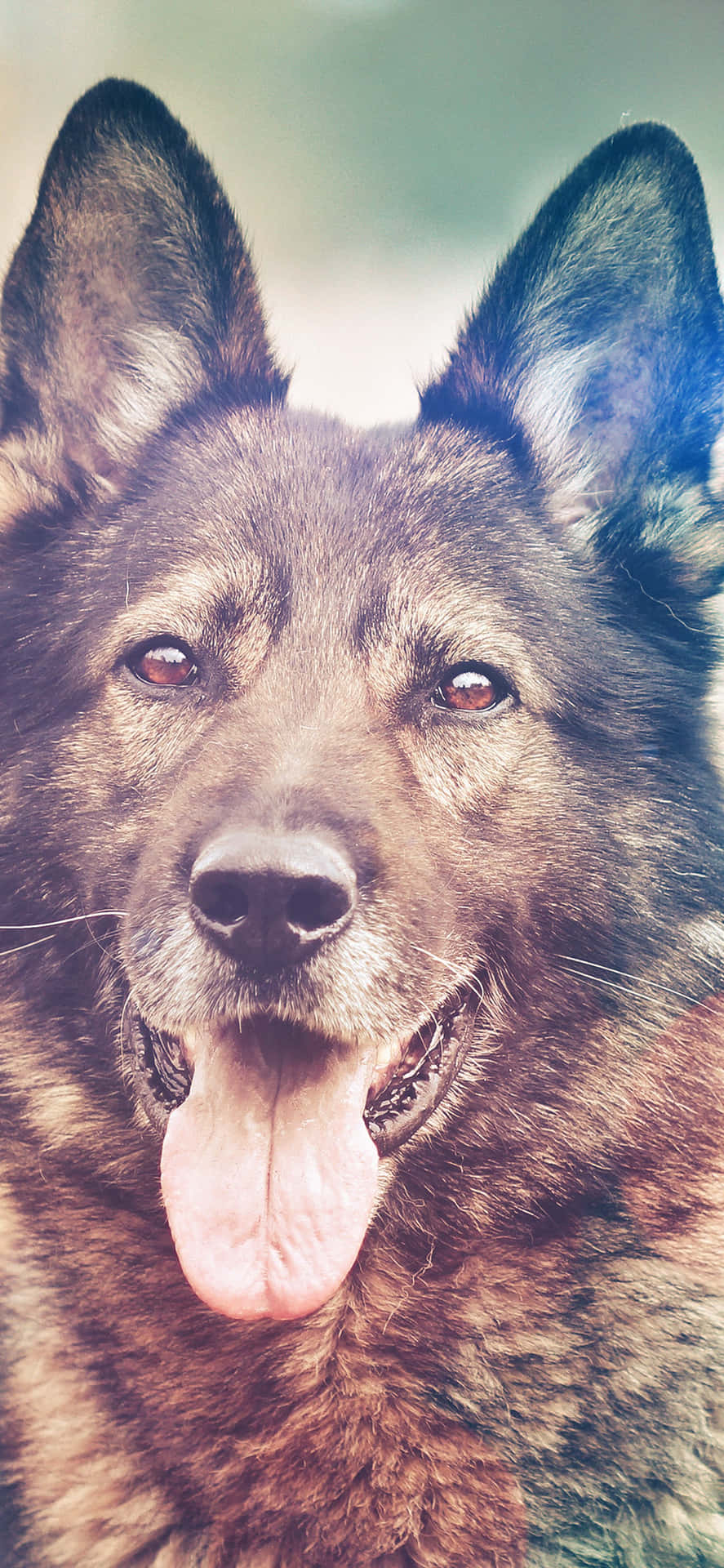 Capture A Moment Of Innocence With Your Iphone