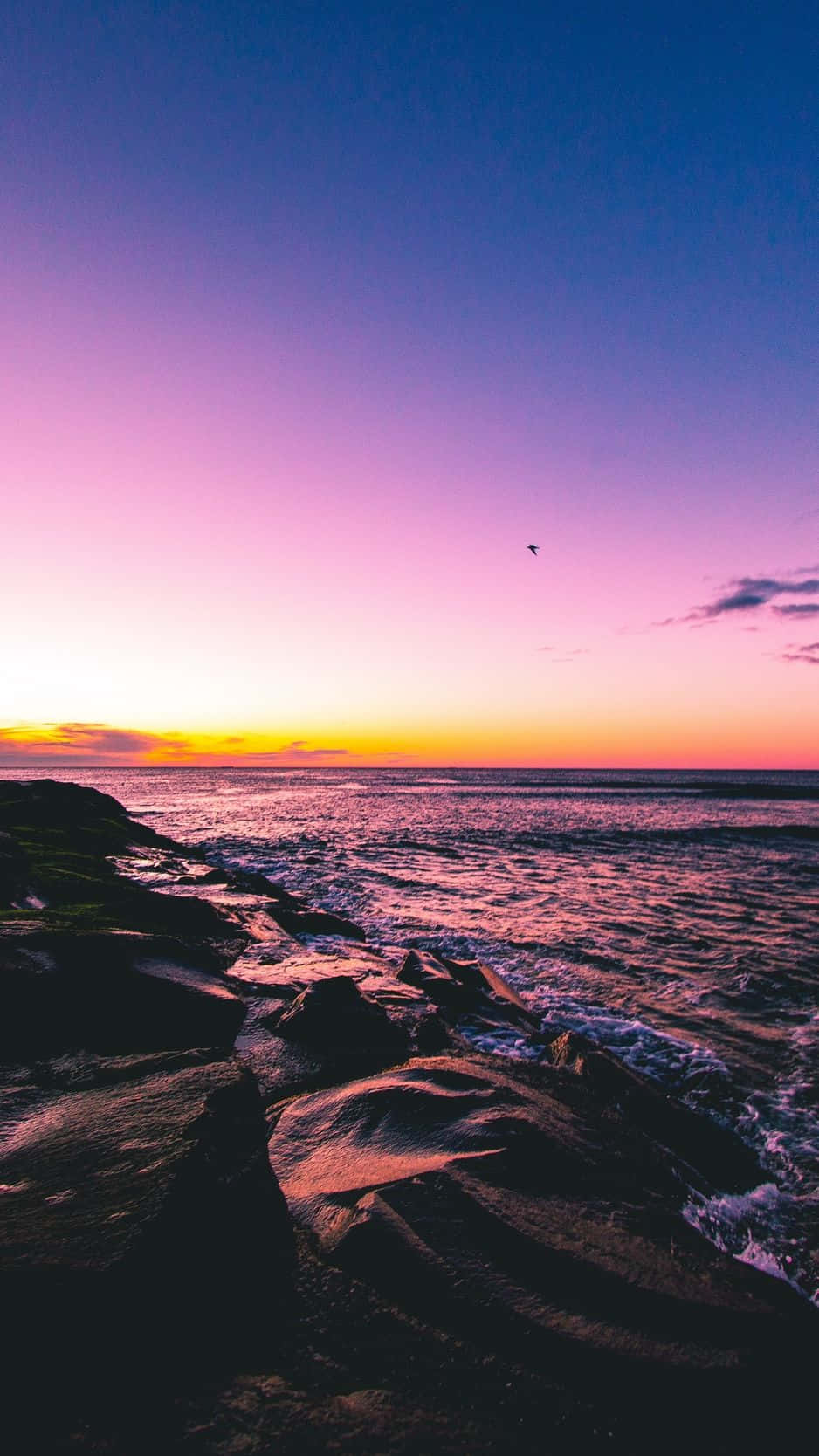 Capture Beautiful Moments Of A Perfect Sunset Beach On Your Iphone Background