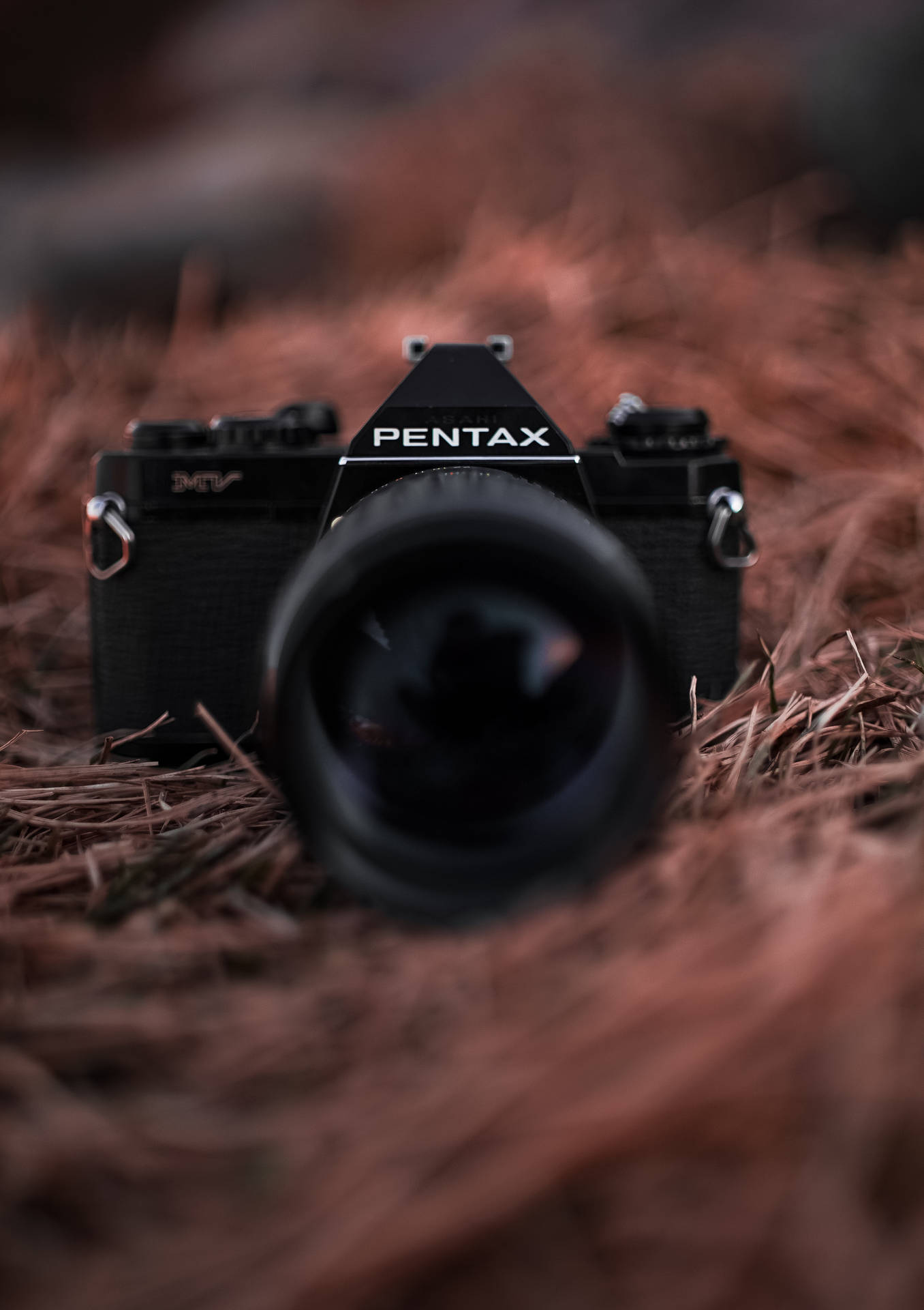 Capture The Beauty Of Life With A Pentax Camera Background