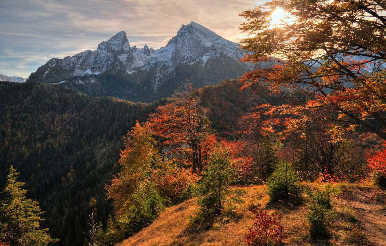 Capture The Beauty Of November Fall Background