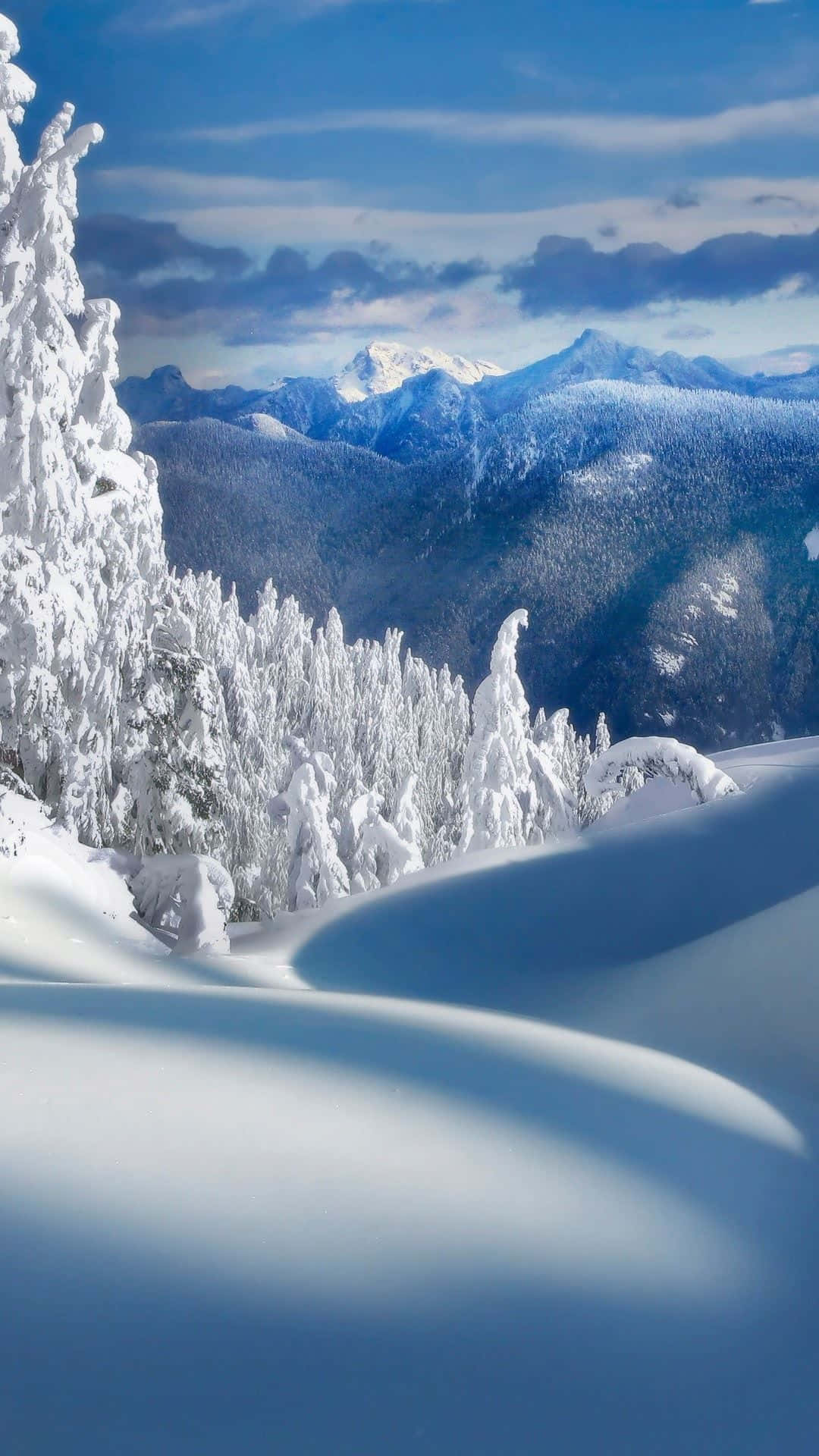 Capture The Beauty Of Winter In The Mountains