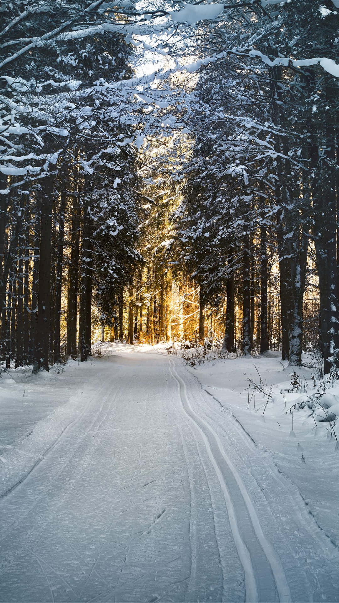 Capture The Beauty Of Winter With An Iphone Background
