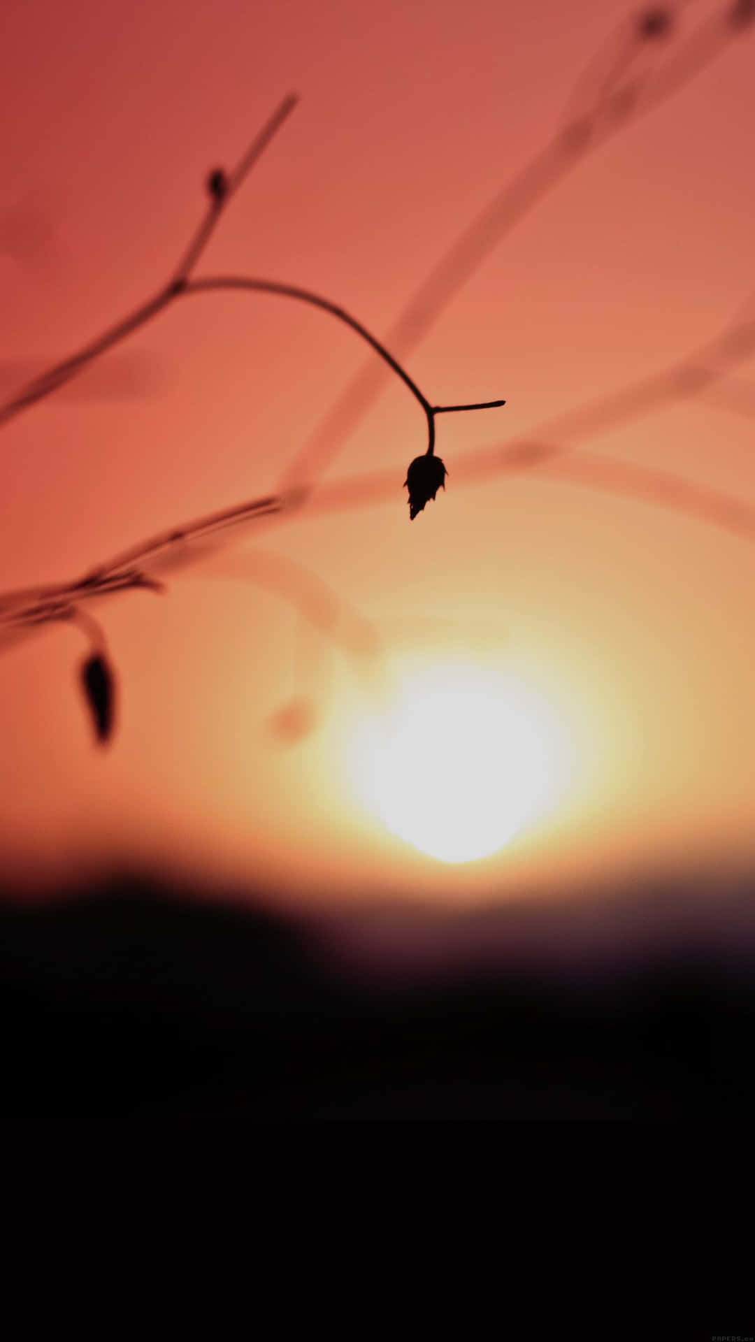 Capture The Magic Of Aesthetic Sunsets Background