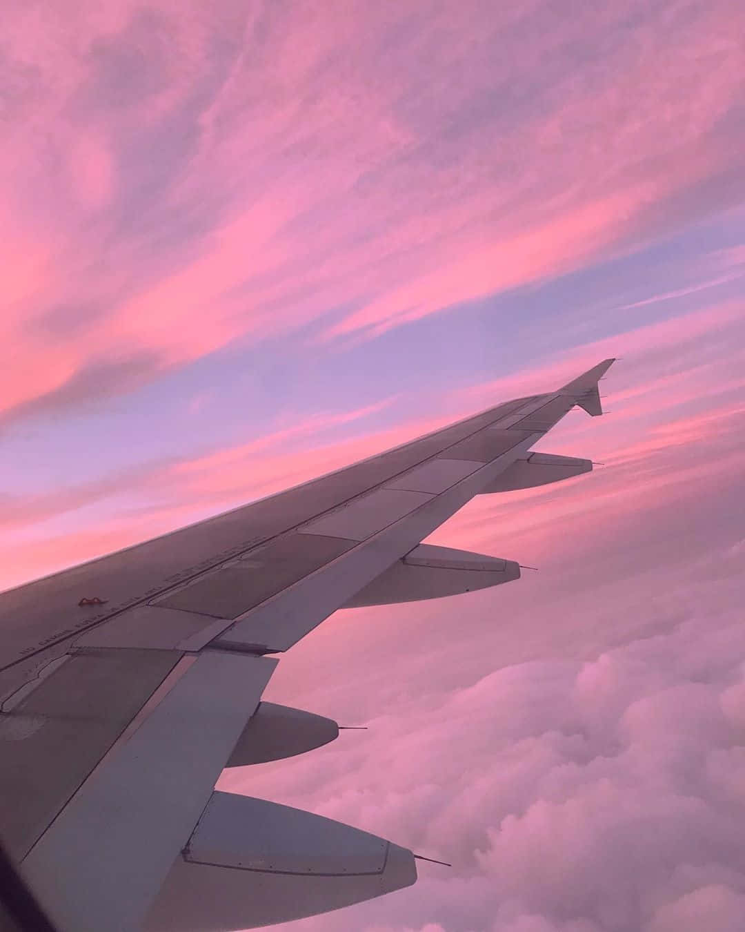 Capturing Dreams With A Pink Plane Background