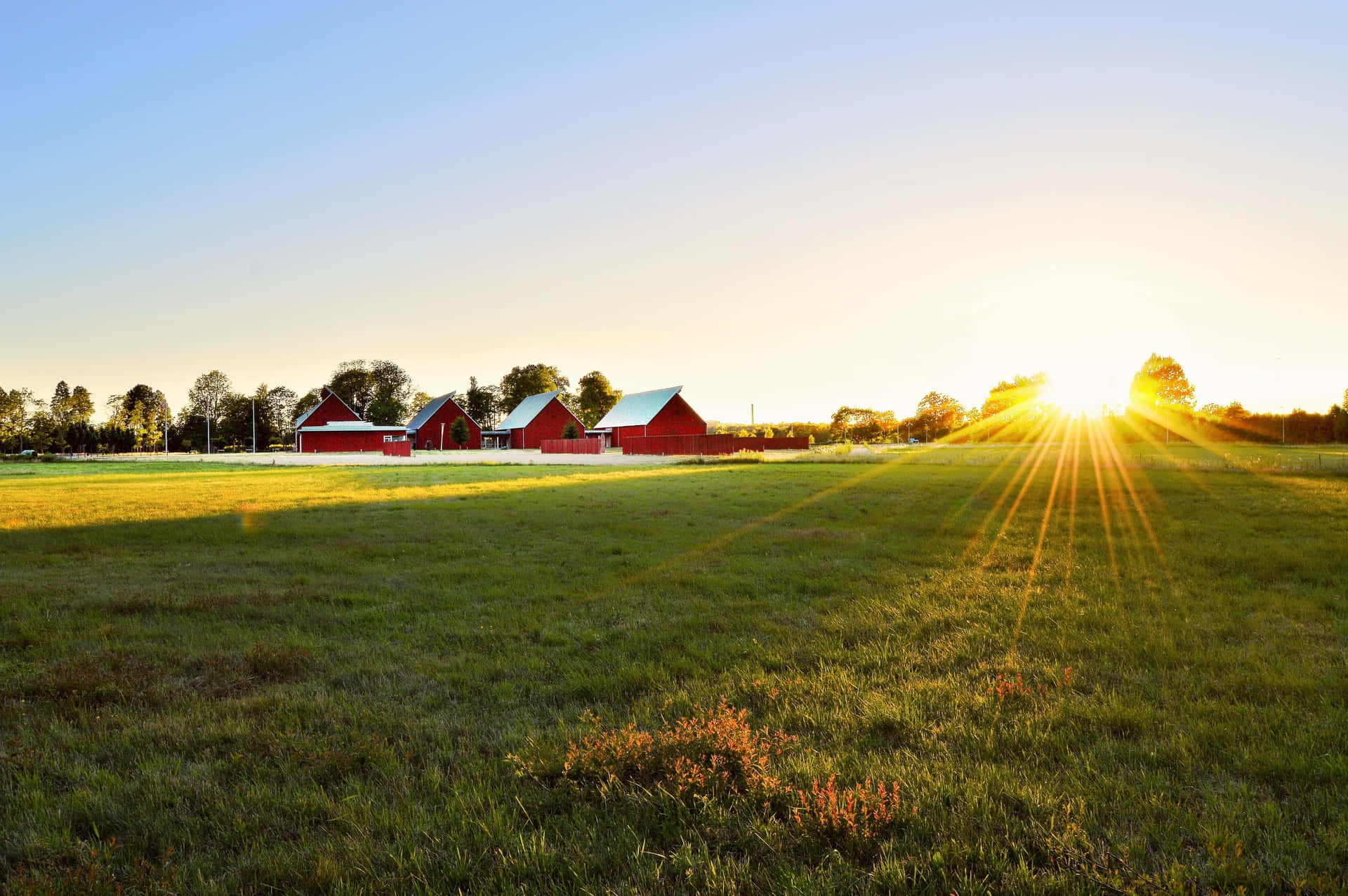 Capturing The Beauty Of A Summers Day On The Family Farm