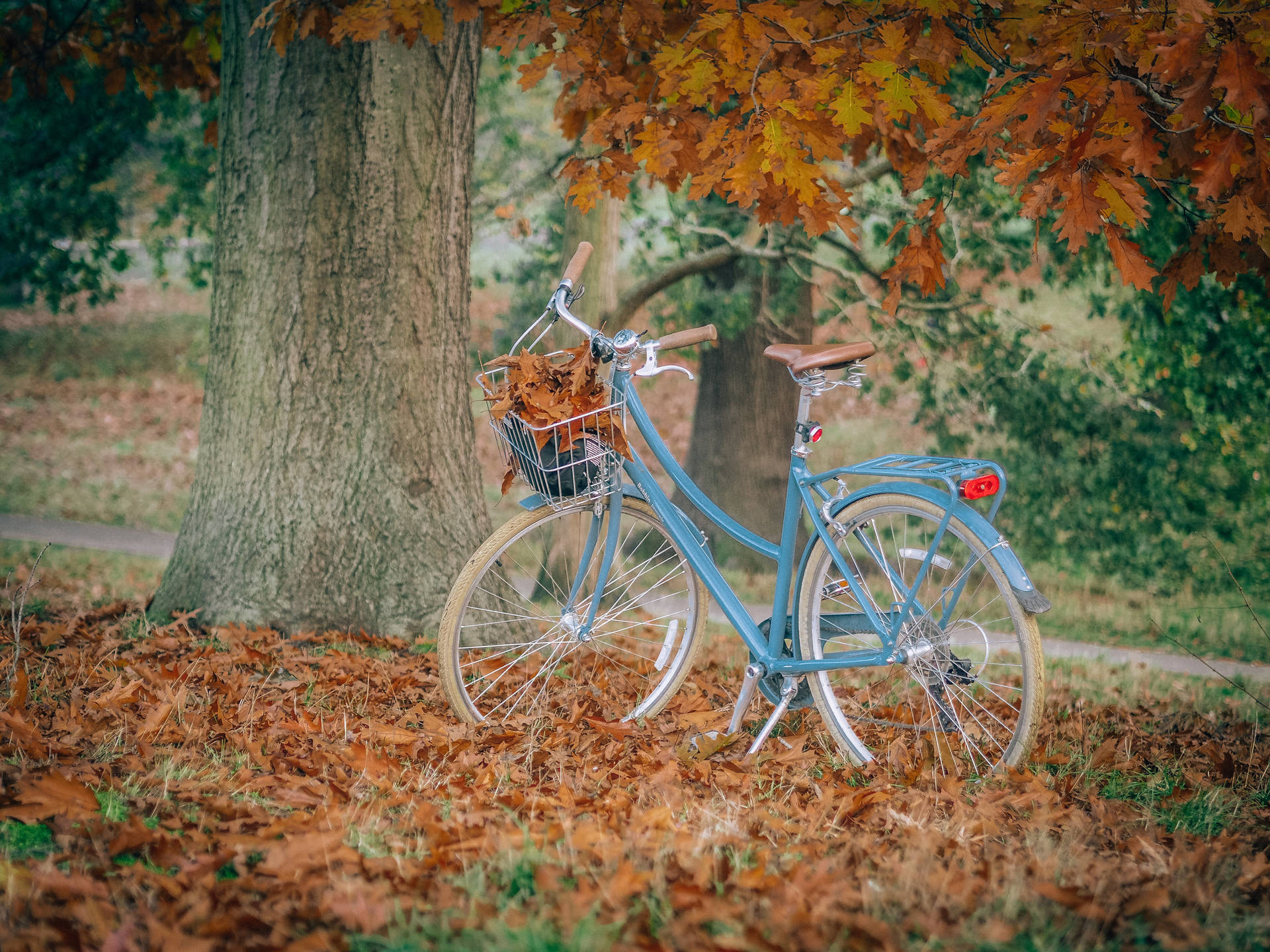 Capturing The Beauty Of The City On A Bike In The Autumn Season. Background
