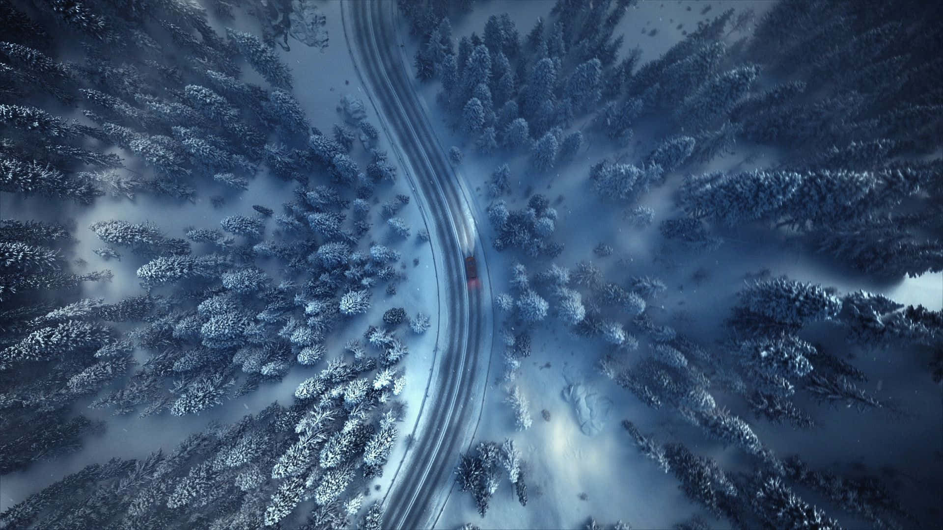 Capturing The Beauty Of Winter In A Forest Background