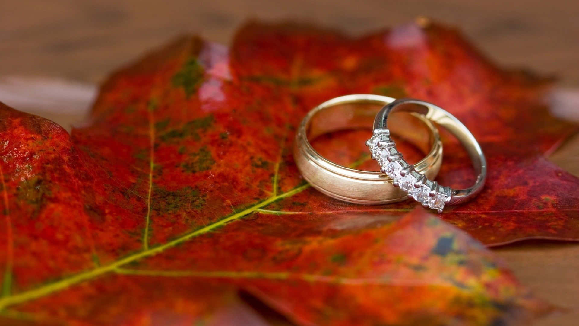 Capturing The Promise: An Autumn Engagement