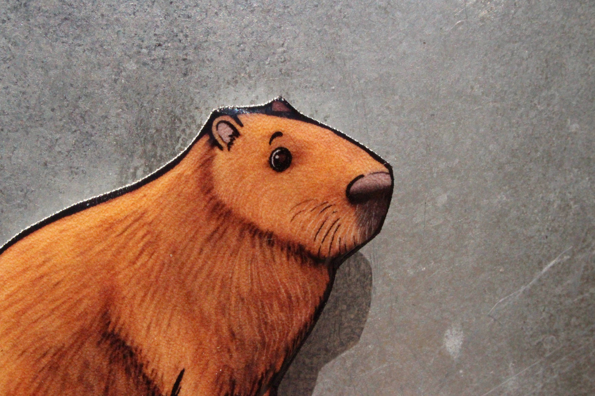 Capybara Cartoon Magnet Background
