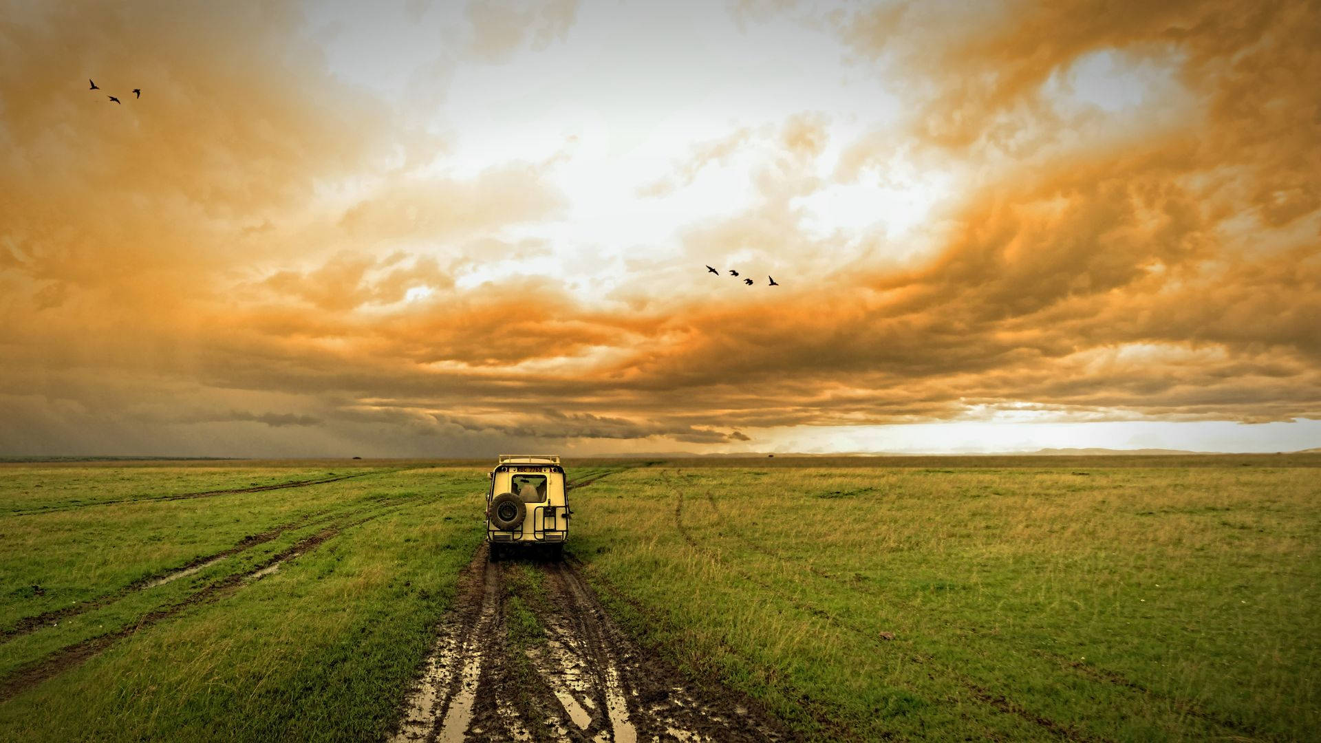 Car Field Journey