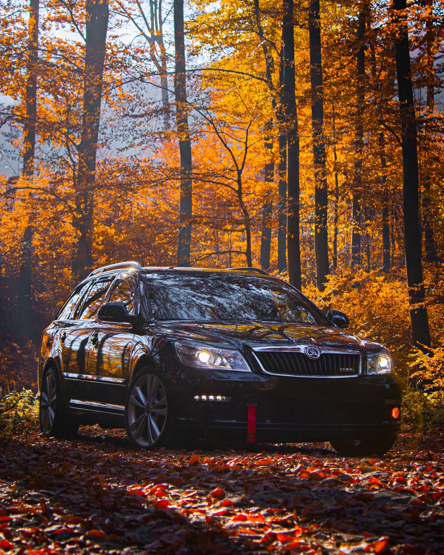 Car In Slovakia's Forest Background