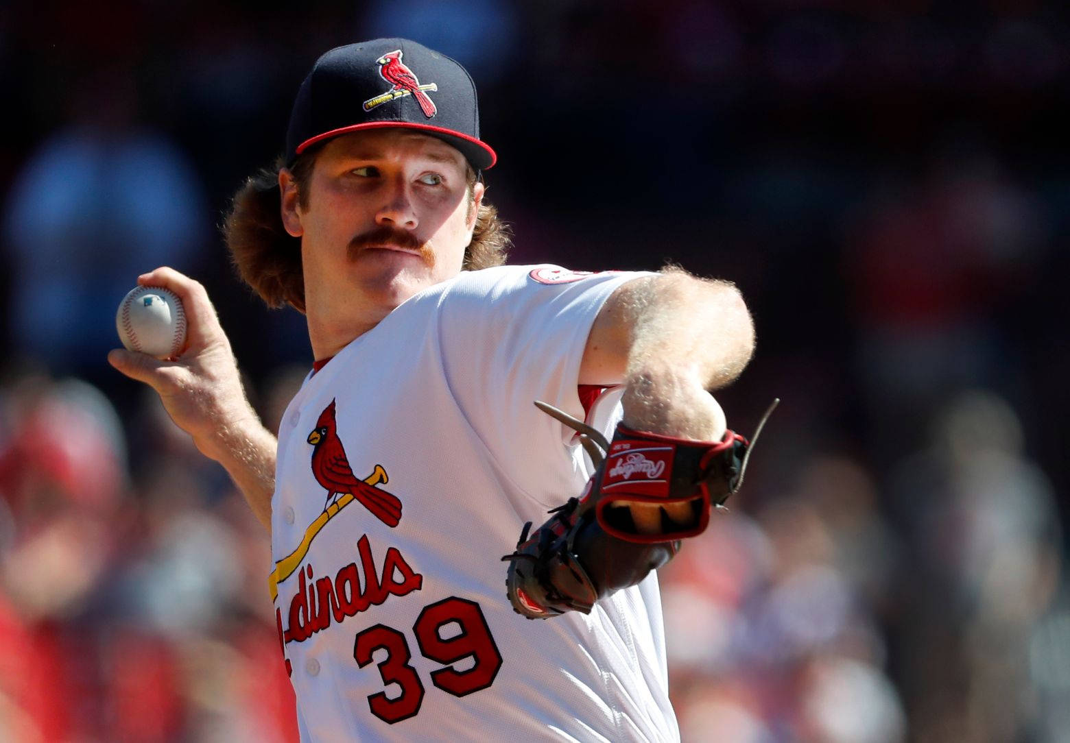 Cardinals Pitcher Miles Mikolas Background