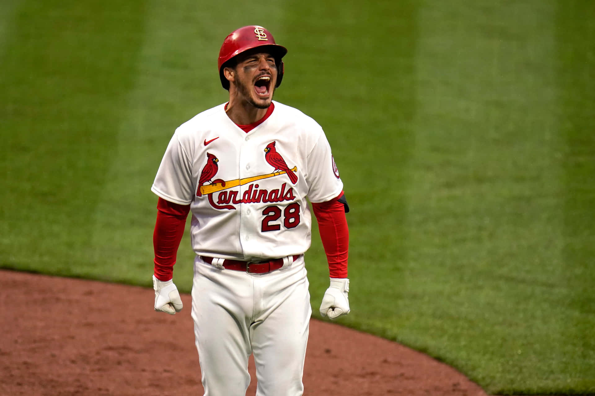 Cardinals Player Celebration Moment Background