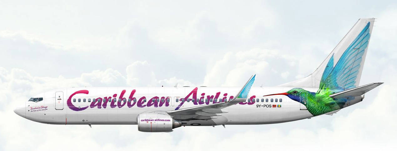 Caribbean Airlines Bird Wings Mural