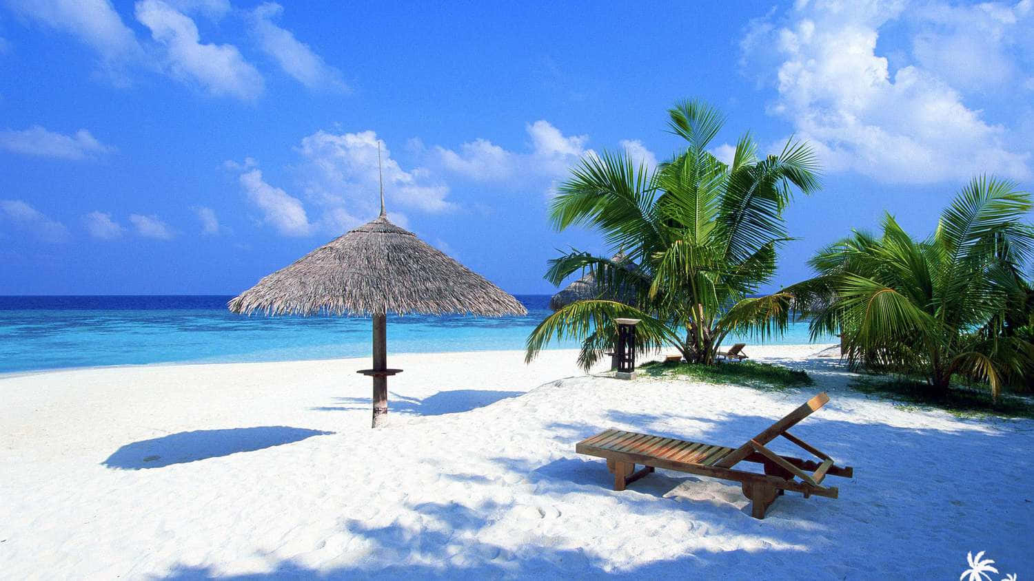 Caribbean Beach Is A Reminder Of The Beauty Of Nature Background