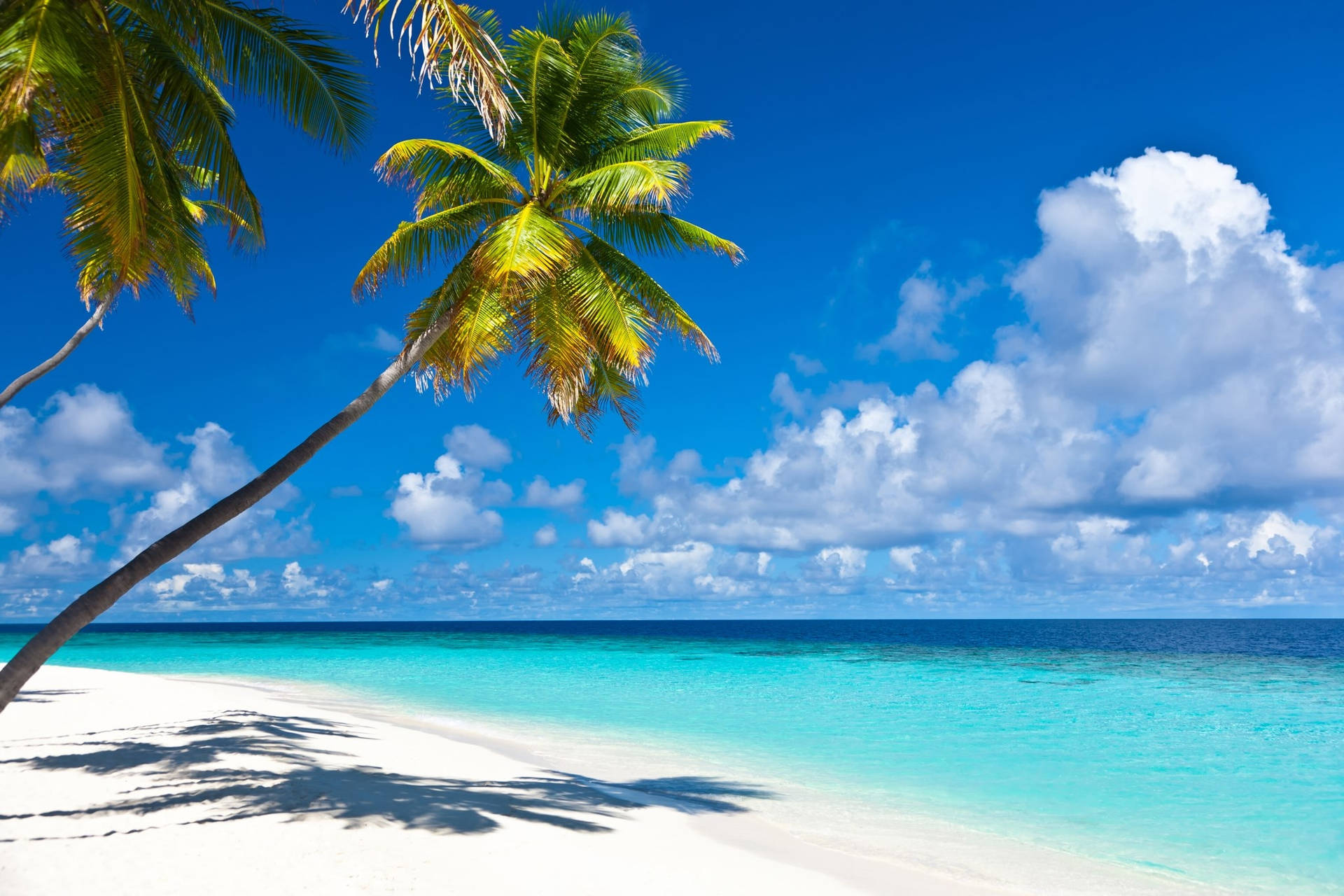 Caribbean Beach Landscape Background