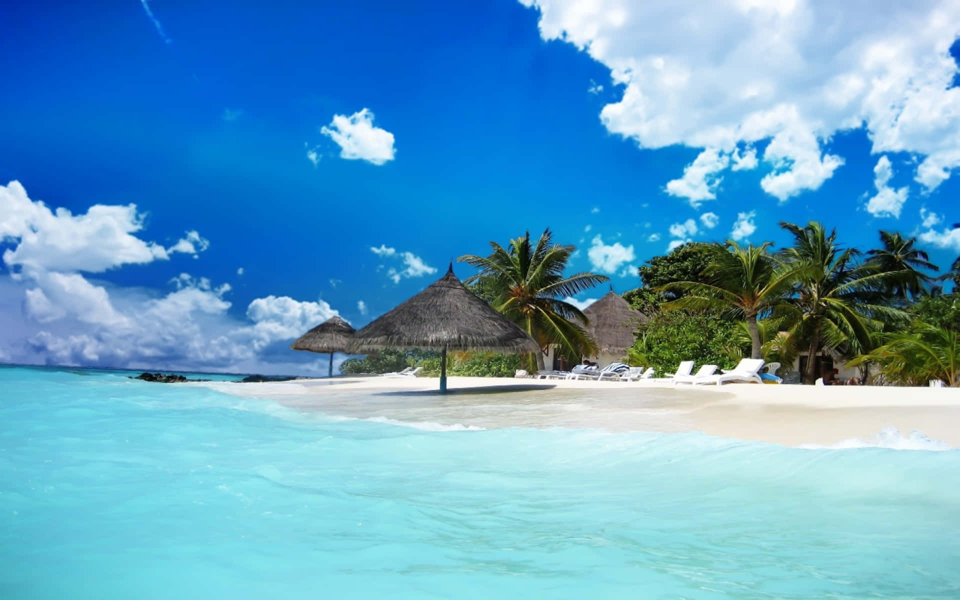 Caribbean Beach Paradise Background