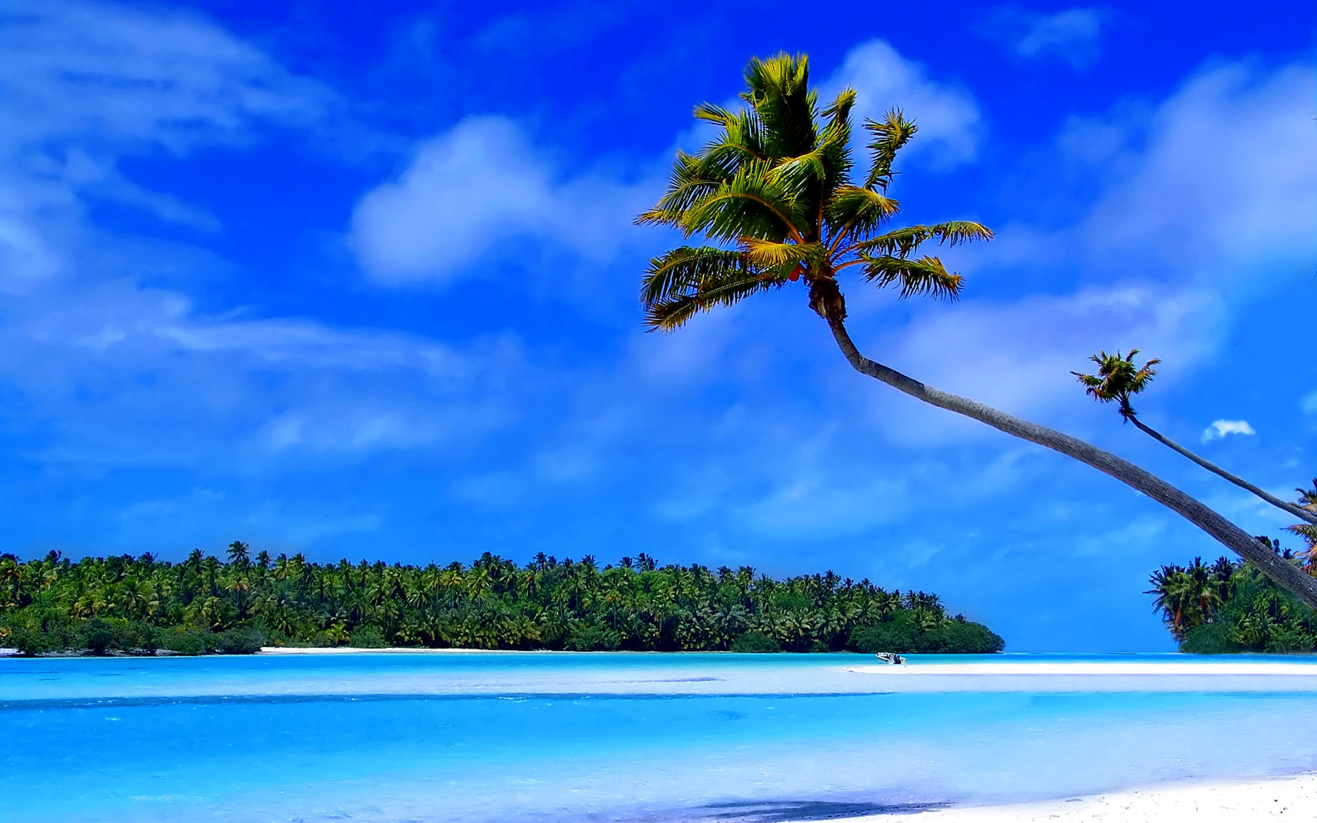 Caribbean Blue Beach Background
