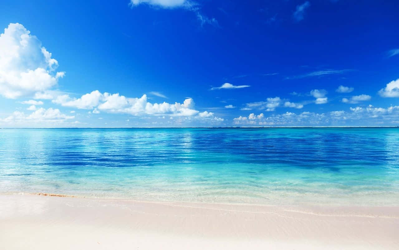 Caribbean Paradise Beach Background