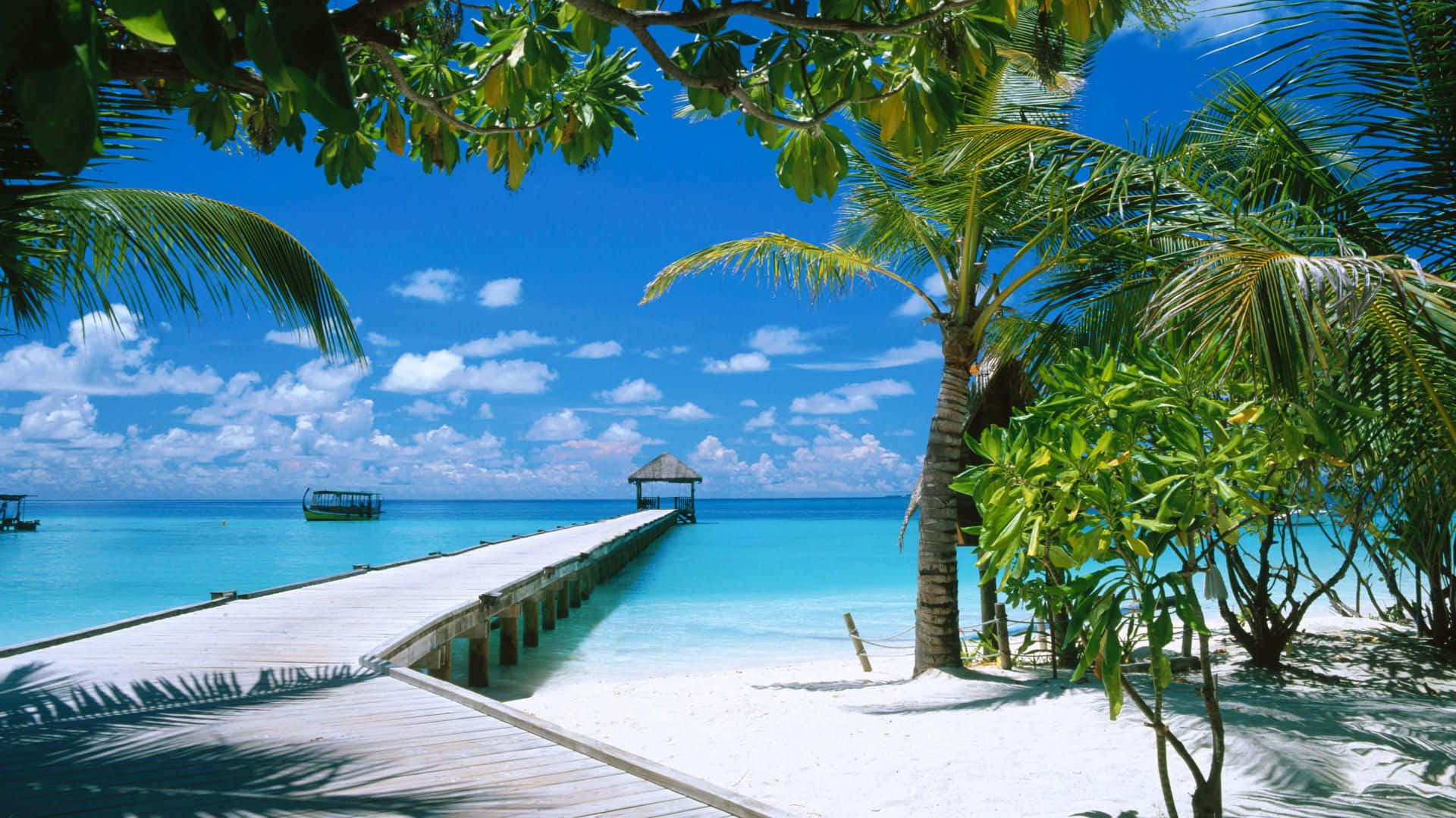Caribbean Paradise Beach Dock