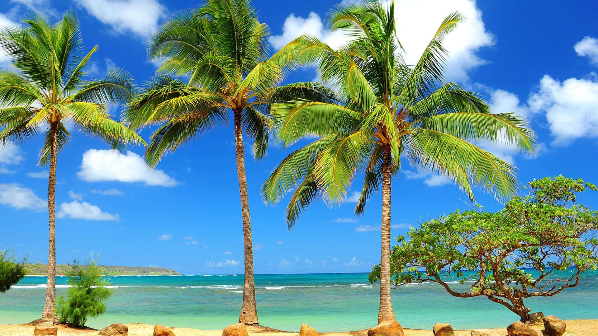 Caribbean Paradise Beach Wallpaper