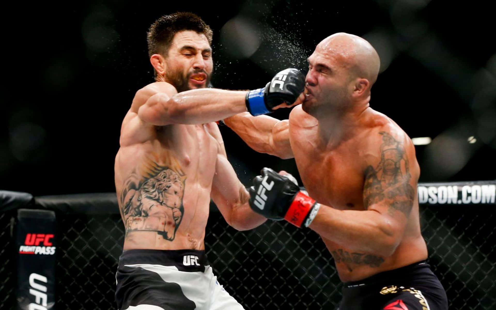 Carlos Condit And Robbie Lawler Background