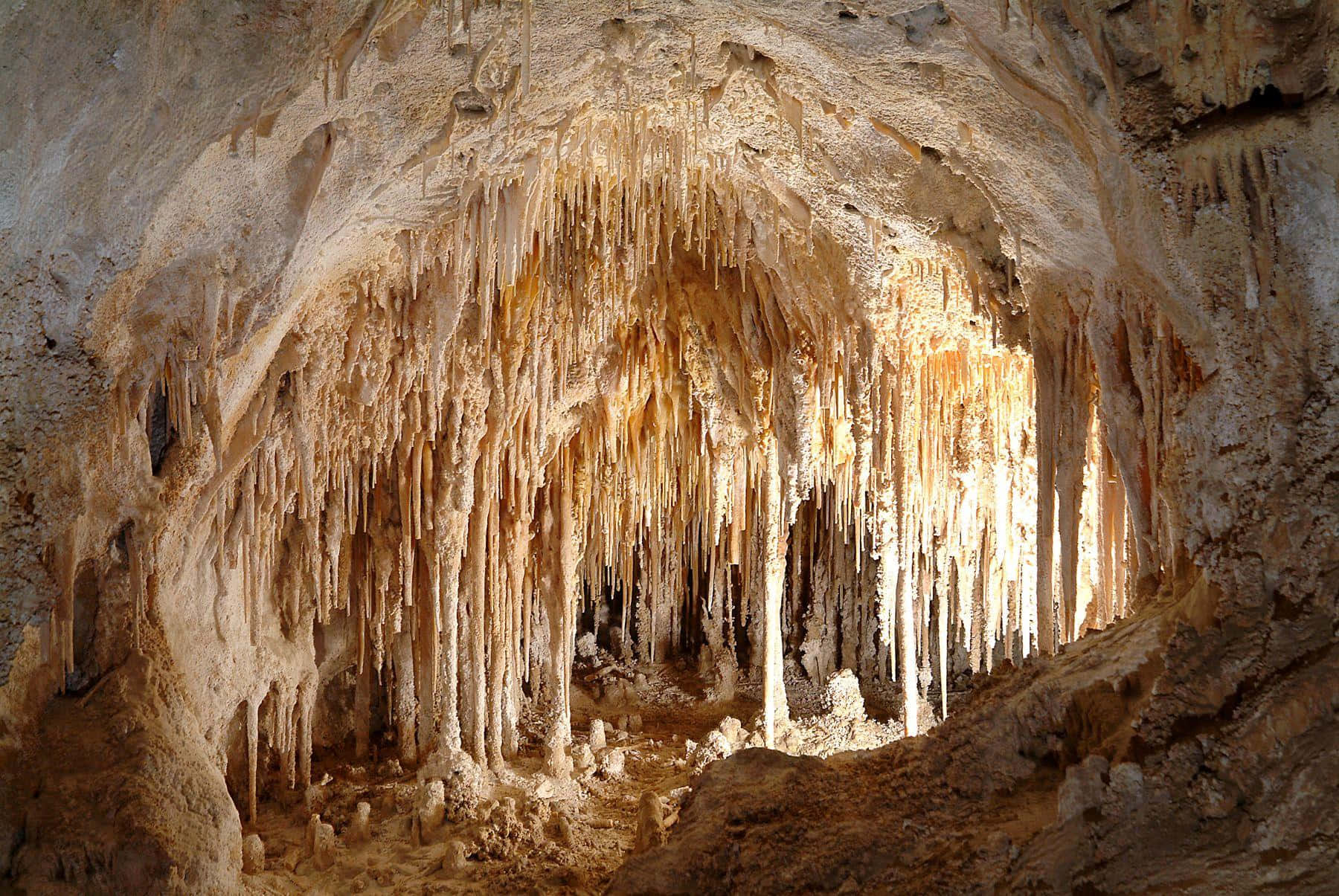 Carlsbad Caverns National Park Mineral Deposits Background