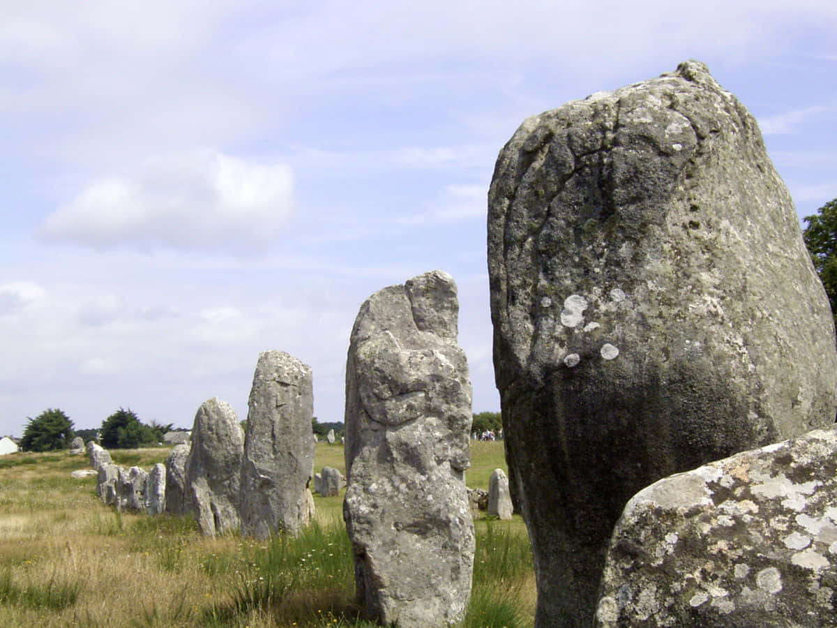 Carnac Stones Alignment Close Up Shot Background