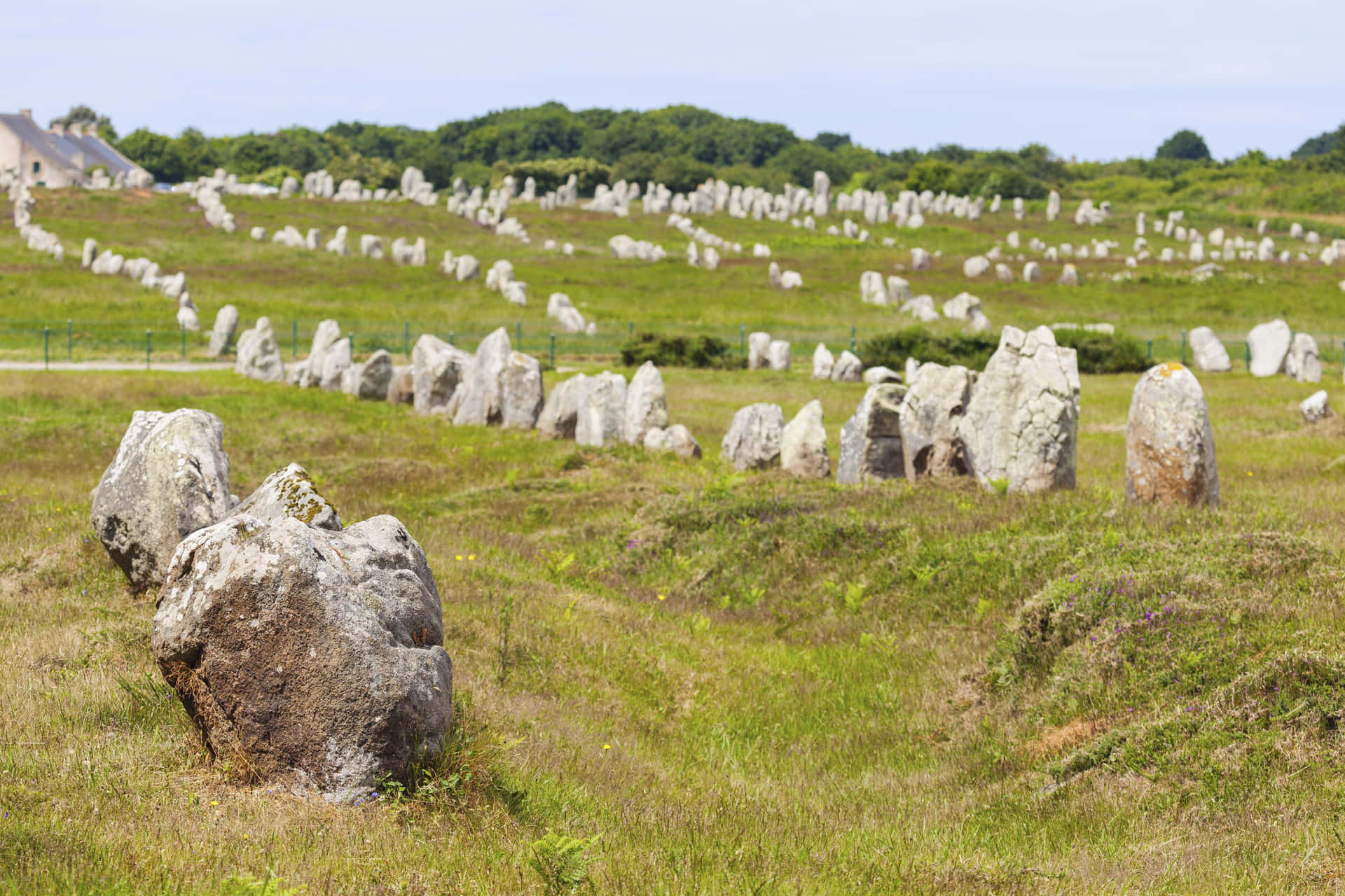 Carnac Stones Alignment In Brittany France Background