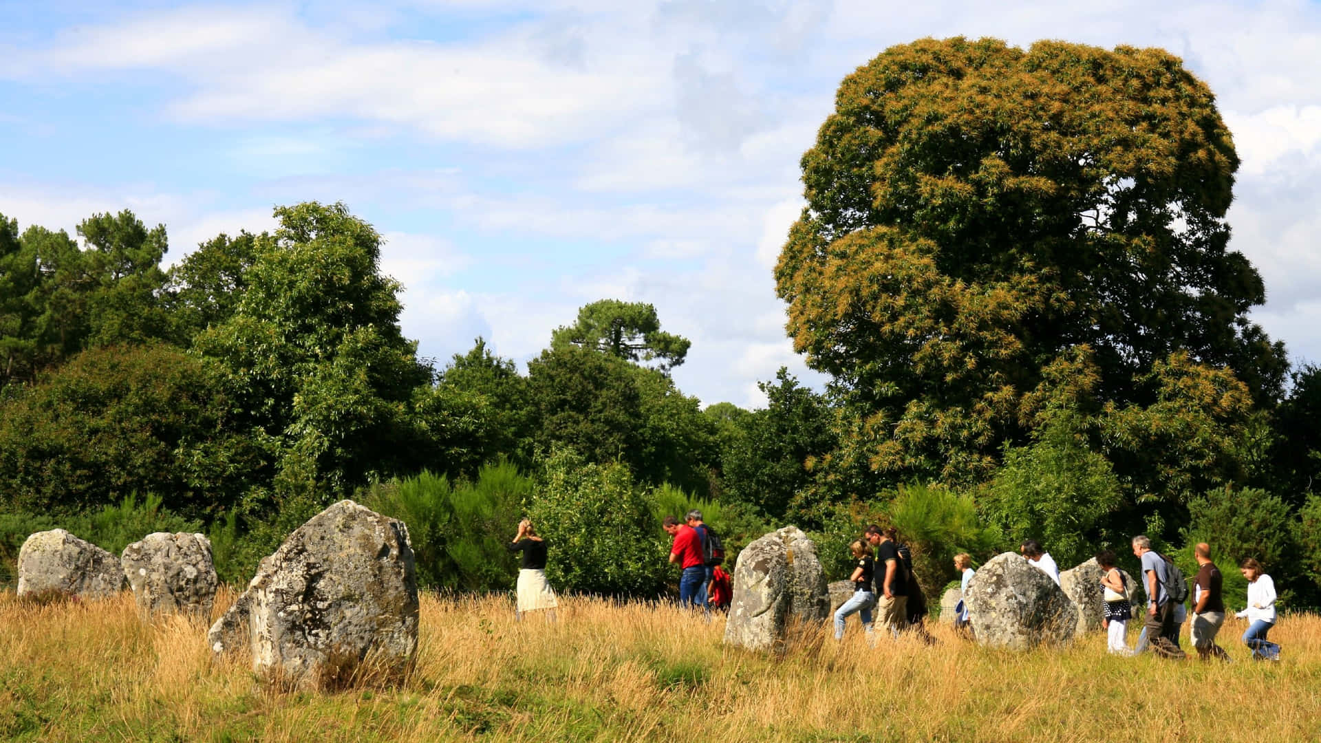 Carnac Stones: An Monumental Attraction Visited By Tourists Background