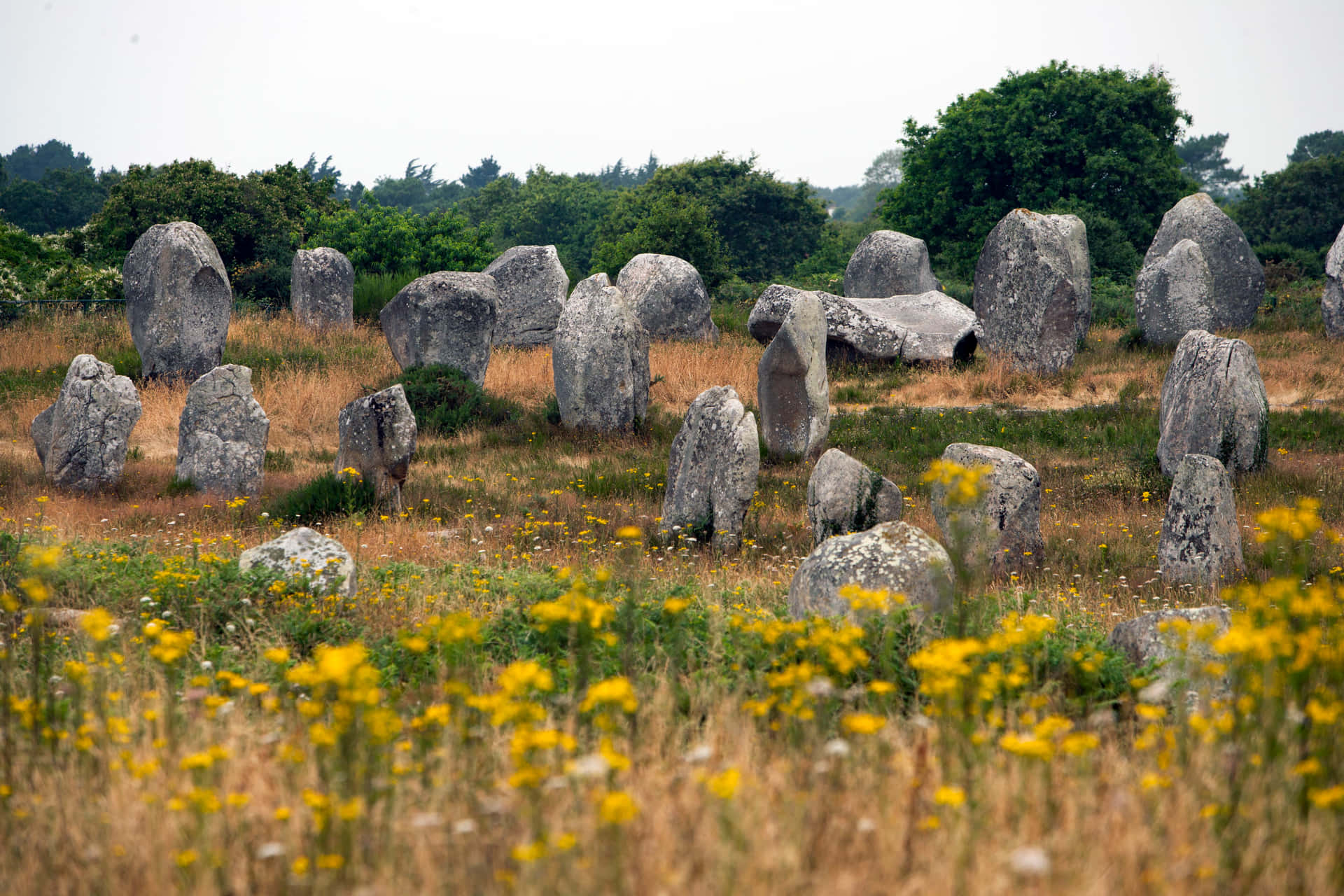 Carnac Stones Ancient Megalithic Attraction In France Background