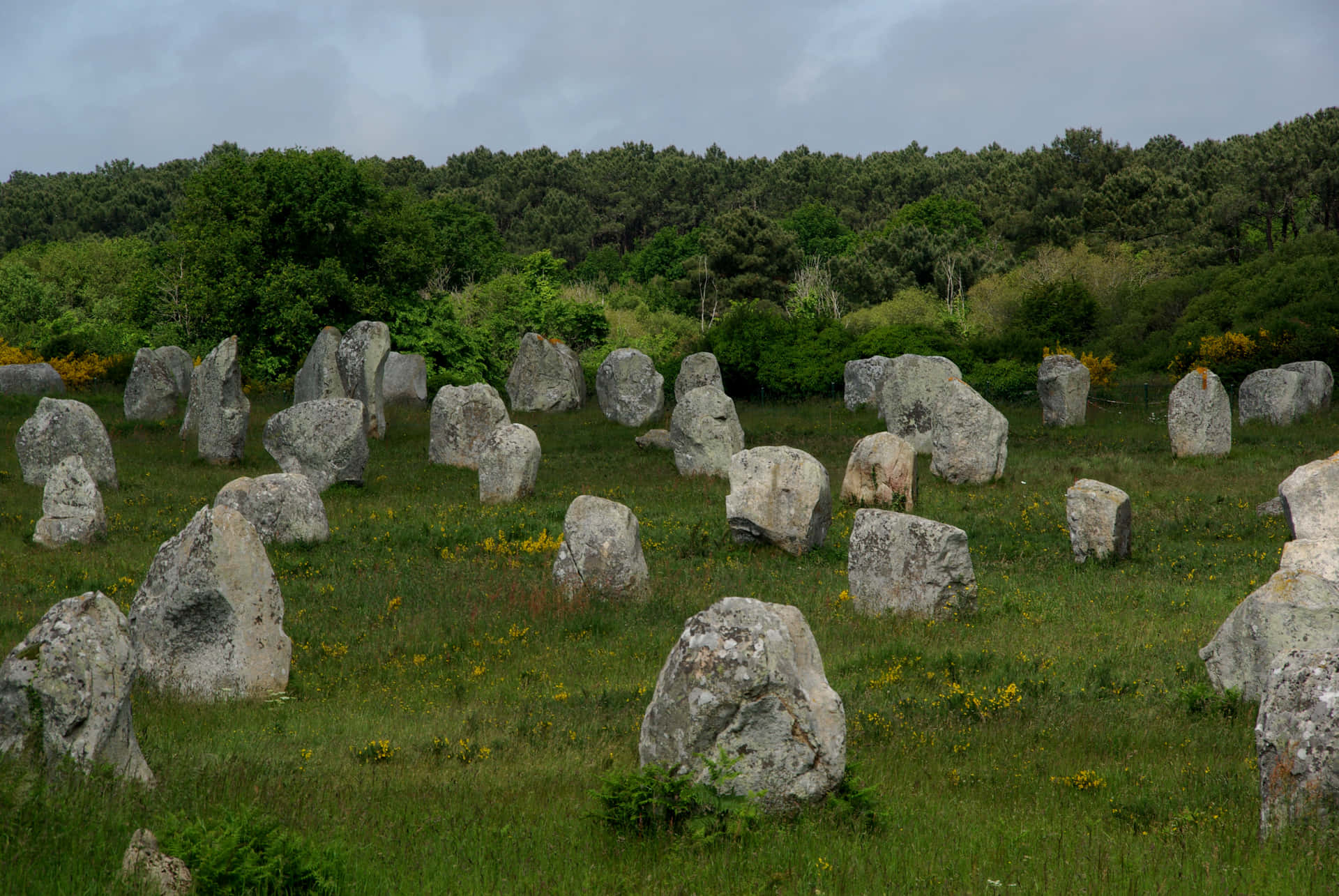 Carnac Stones Neolithic Menhirs In Brittany France Background