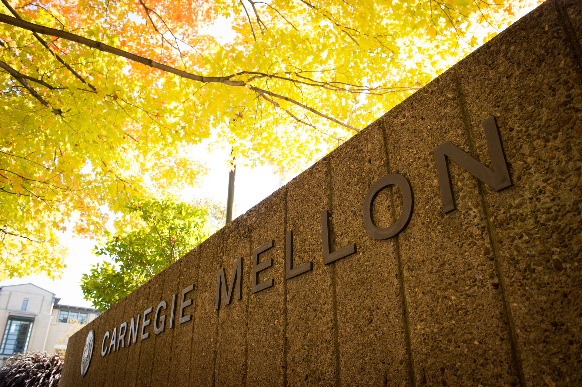 Carnegie Mellon University - Emblem Of Excellence