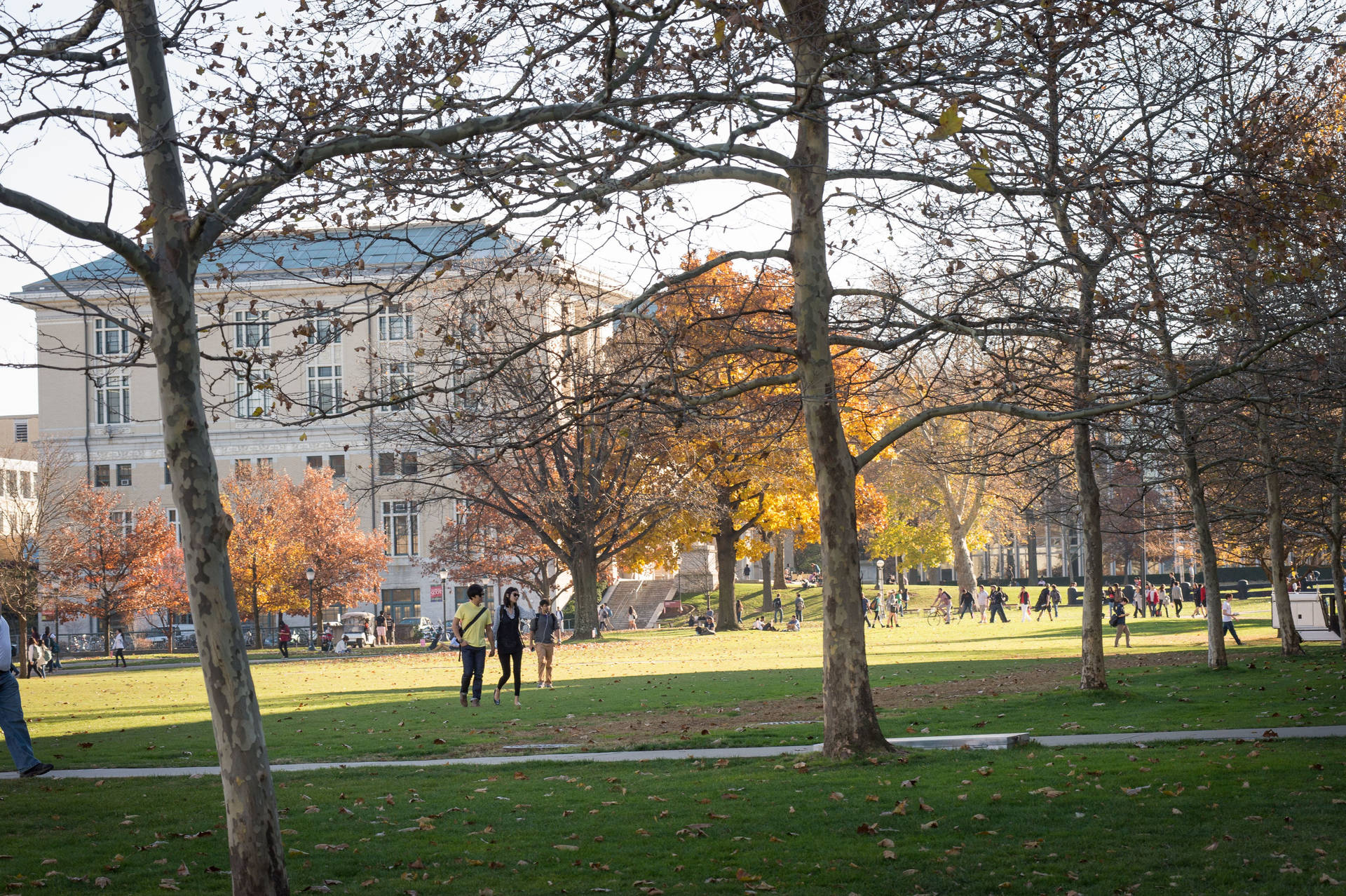 Carnegie Mellon University Field With Trees Background