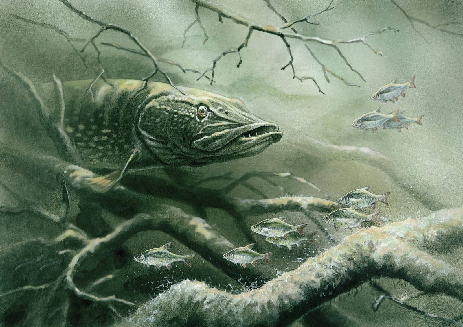 Carnivore Pike Art Background