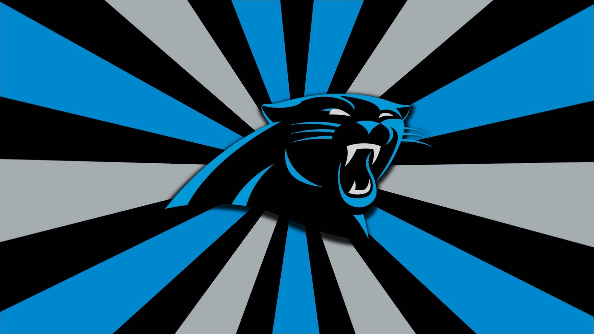 Carolina Panthers Blue, Black, White Background