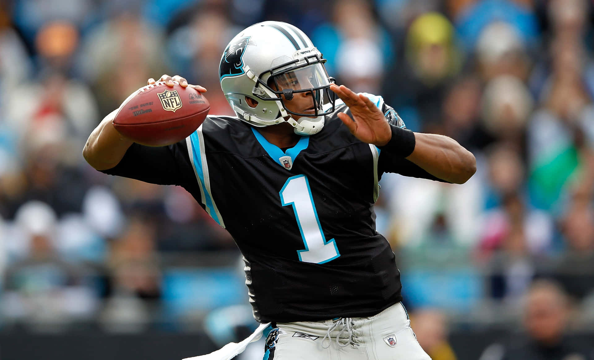 Carolina Panthers' Cam Newton On The Field Background