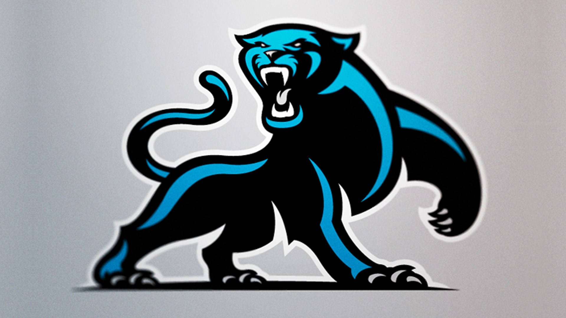 Carolina Panthers Full Logo