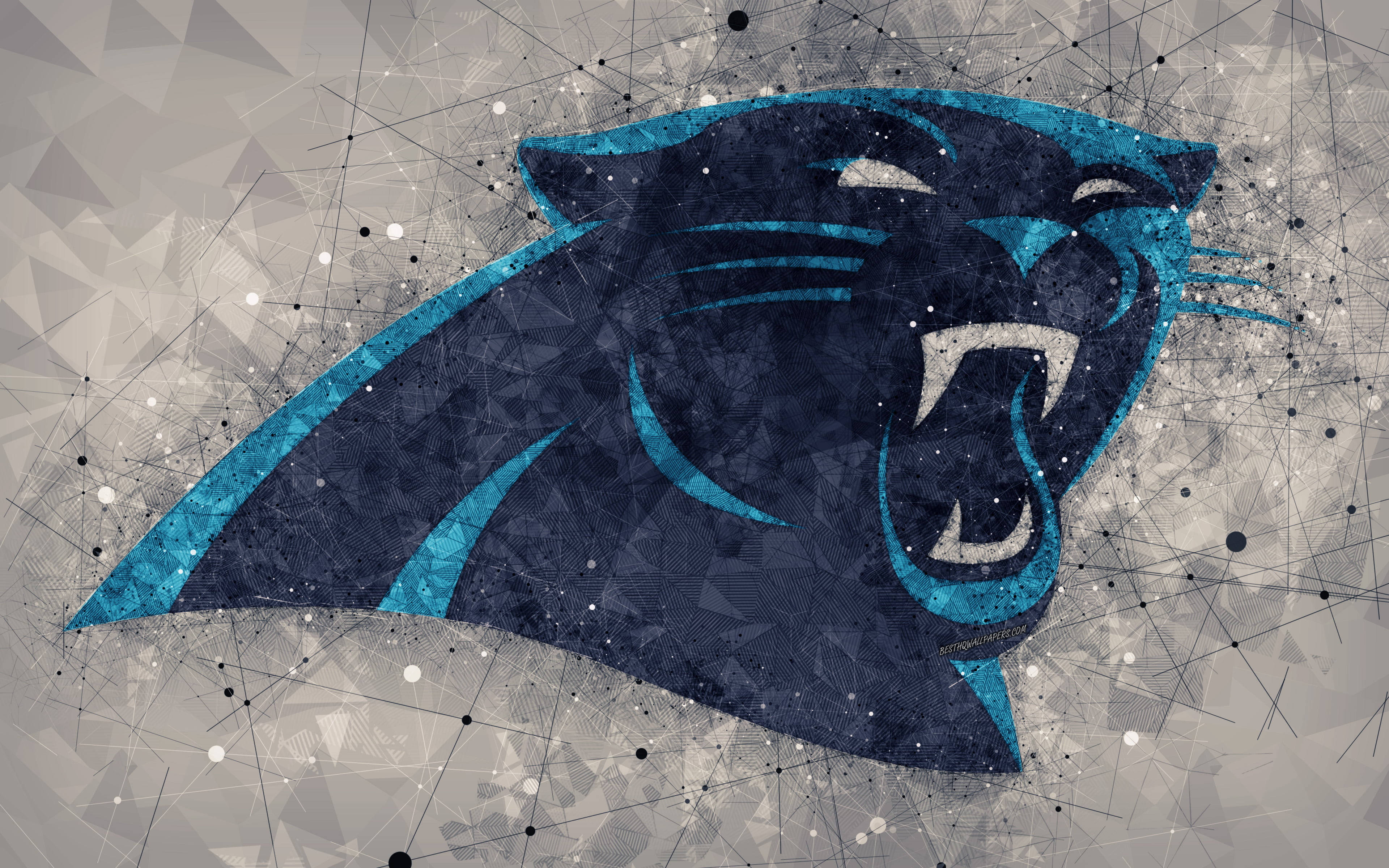 Carolina Panthers Logo Polygon Surface Background