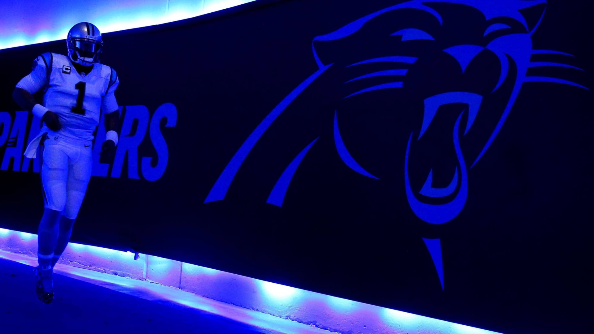 Carolina Panthers On Blue Light Background