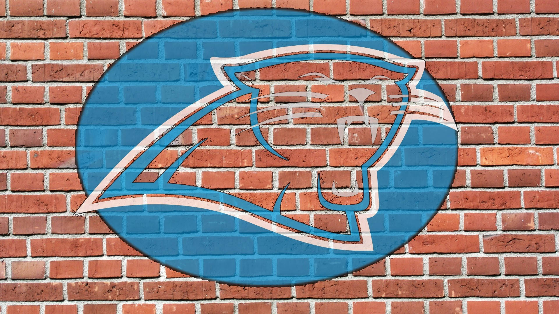 Carolina Panthers On Brick Wall Background