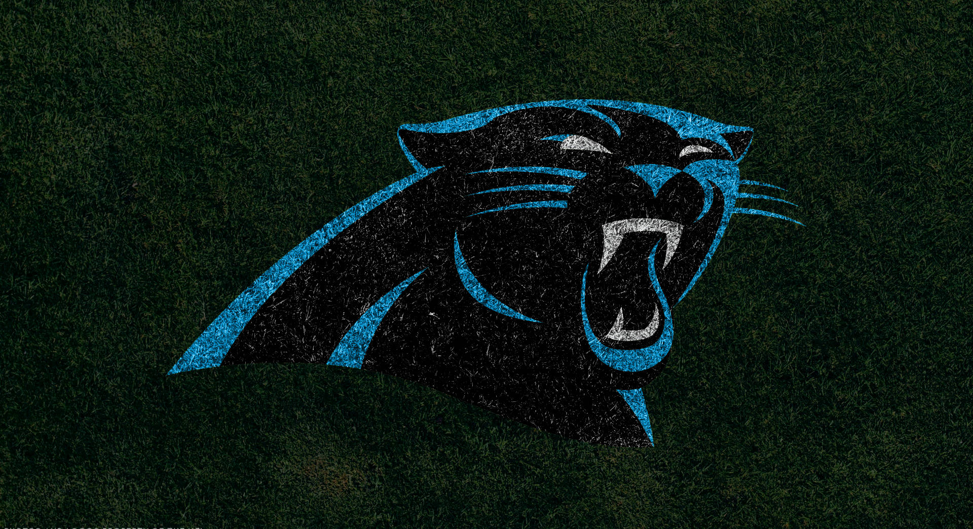 Carolina Panthers Painted Logo On Grass Background