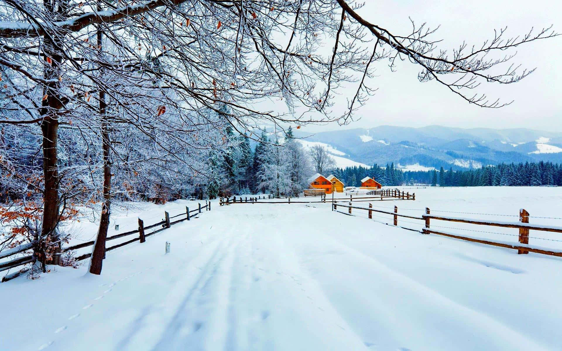 Carpathian Mountains Countryside In Snow