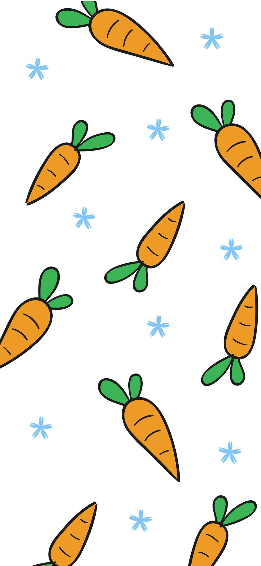 Carrots On A White Background Background