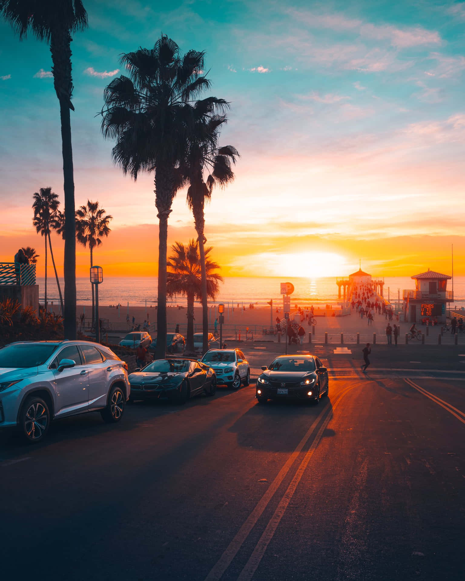 Cars Sunset With Palm Tree