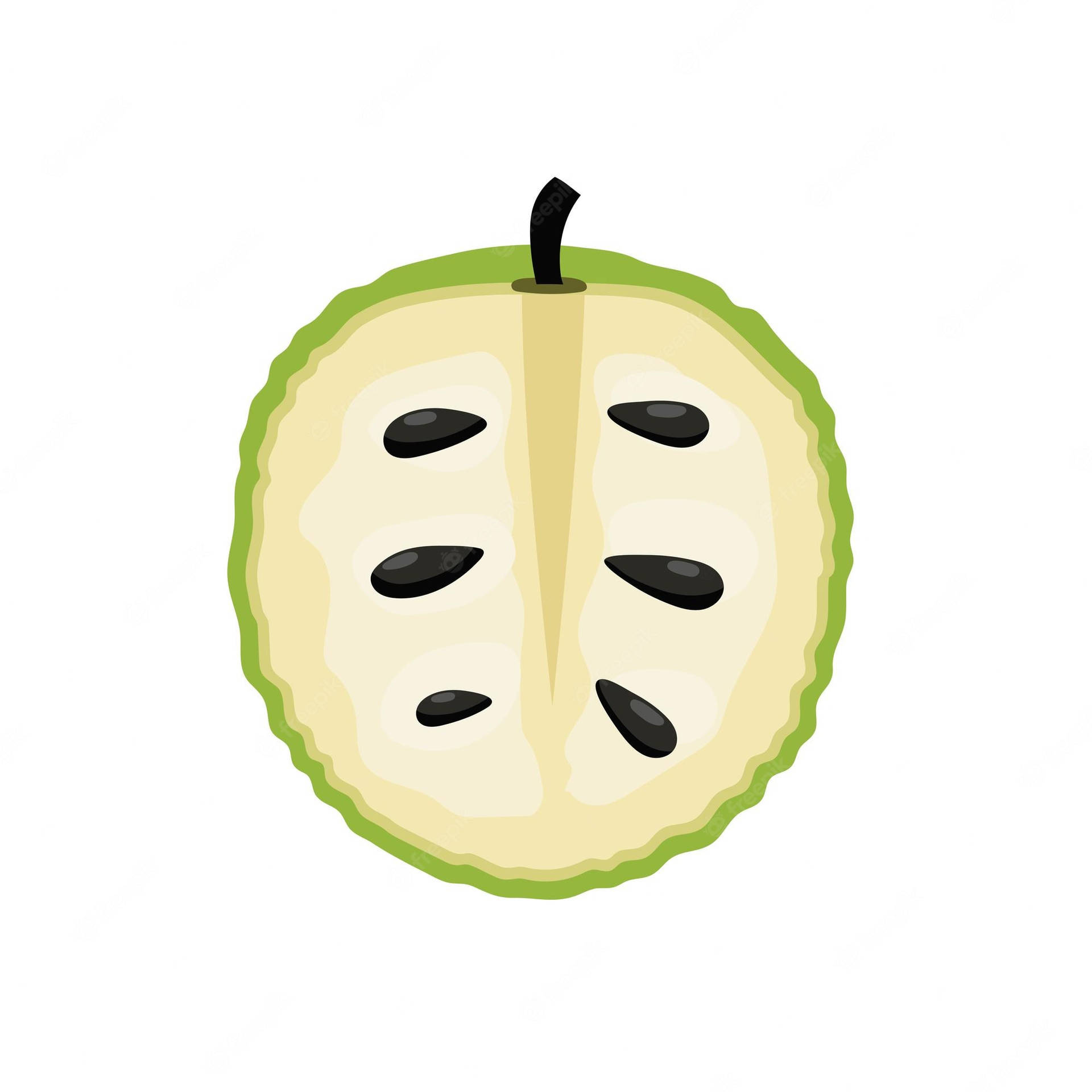 Cartoon Animated Cherimoya