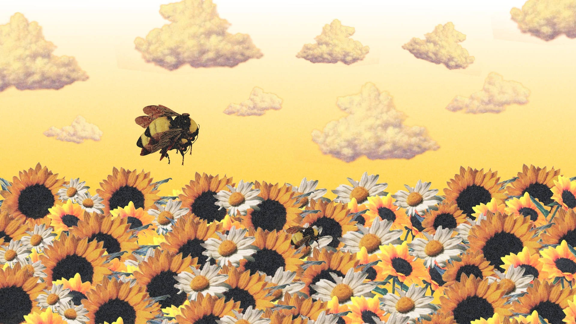 Cartoon Bee Over A Field Of Sunflowers