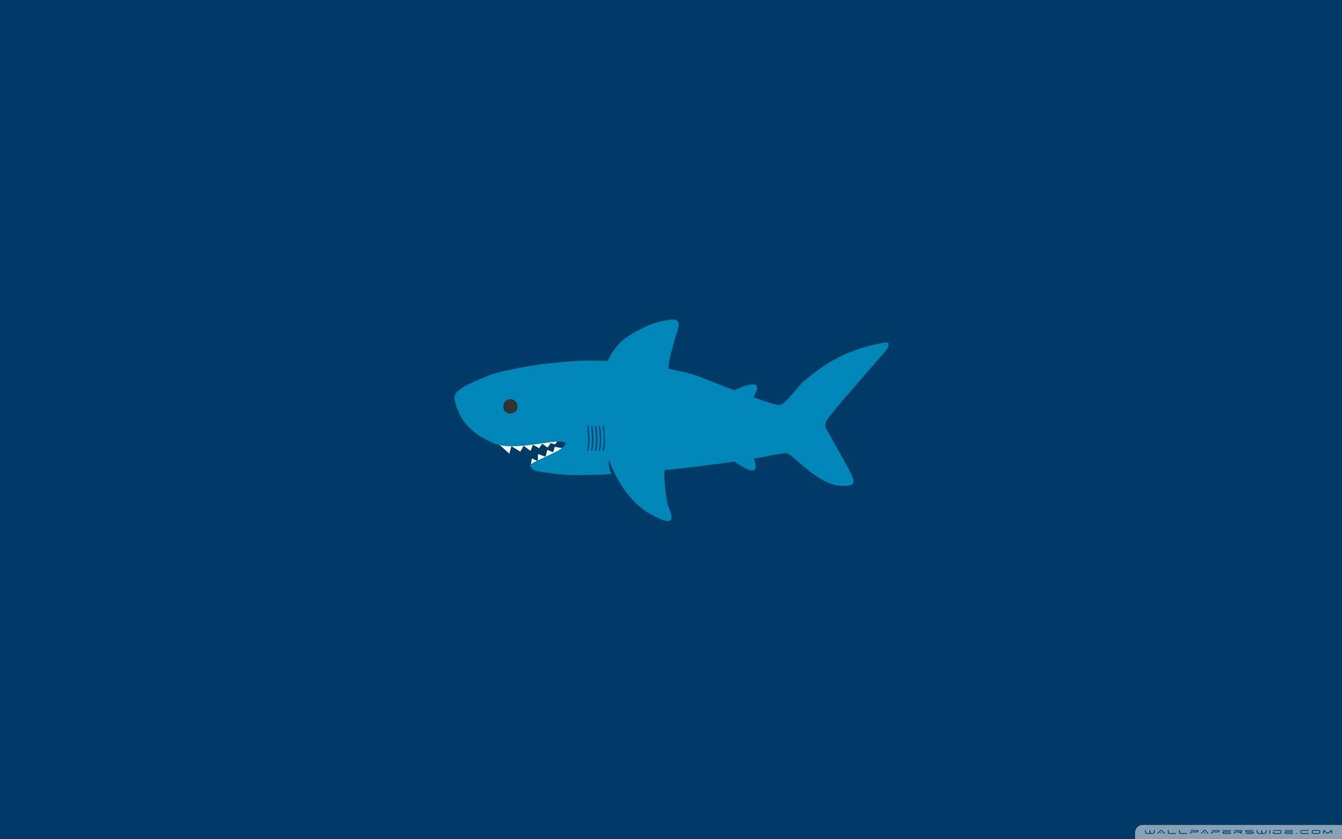 Cartoon Blue Shark Background